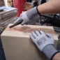1 Paio Guanti Antitaglio Lv.3 in Poliuretano RMOVE