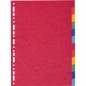 Separatore Forever - 12 tacche - cartoncino riciclato 220 gr - A4 - multicolore - Exacompta